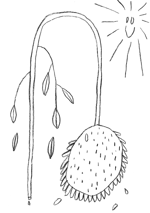 20191115 sterbende.Blume